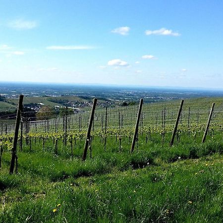 Ferienhof Vordere Alm Оберкирх Екстериор снимка