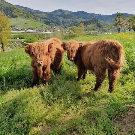 Ferienhof Vordere Alm Оберкирх Екстериор снимка