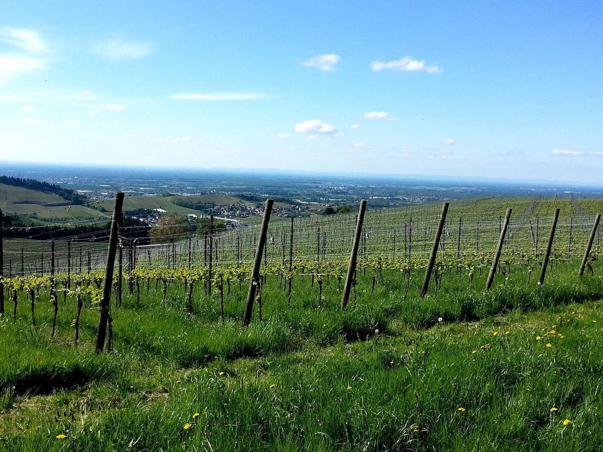 Ferienhof Vordere Alm Оберкирх Екстериор снимка