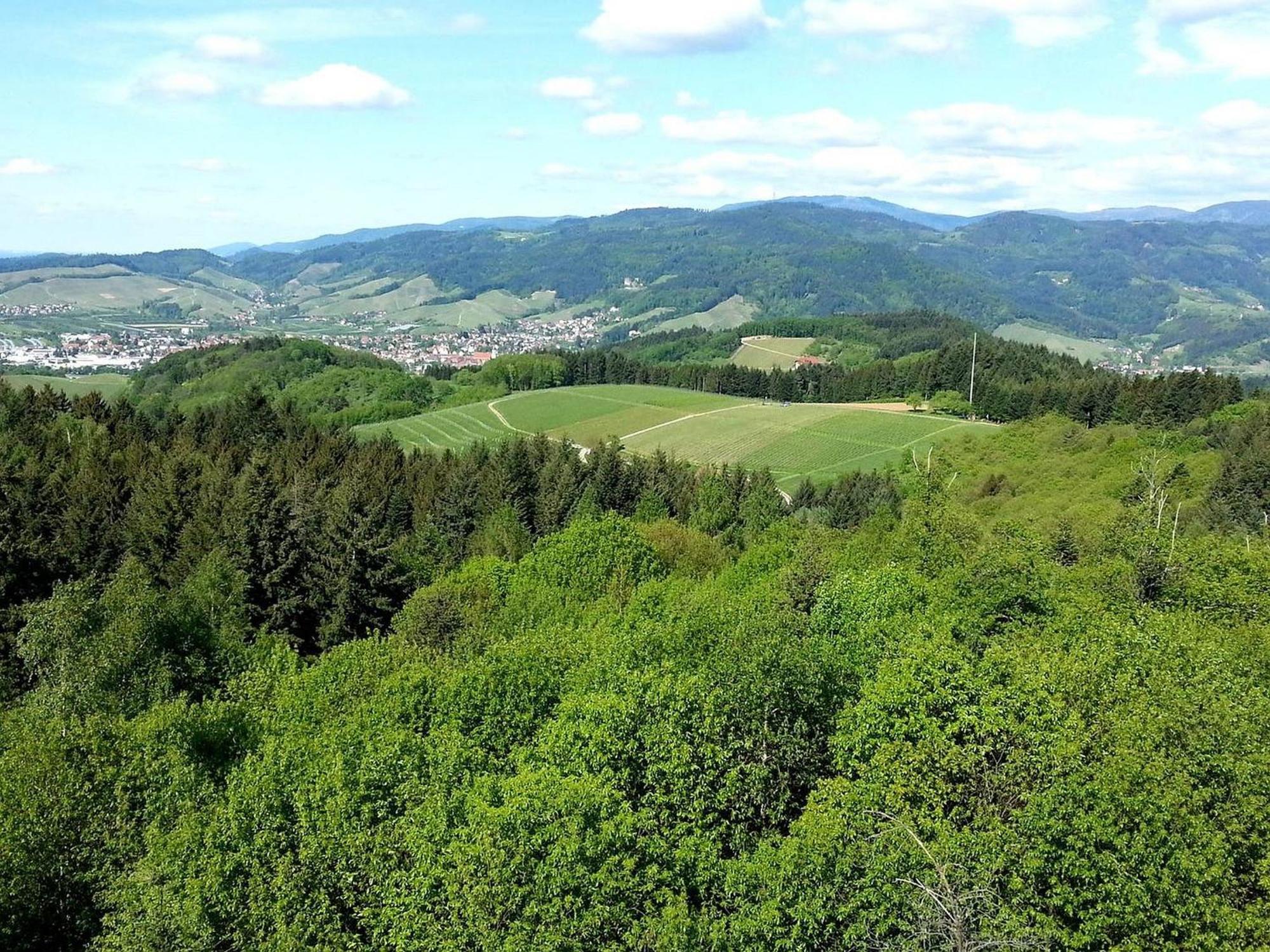 Ferienhof Vordere Alm Оберкирх Екстериор снимка